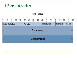 IPv6 header
 