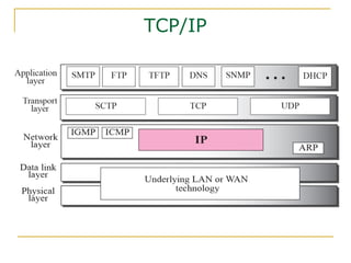 TCP/IP
 