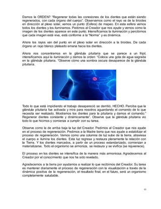 40
Damos la ORDEN? “Regenerar todas las conexiones de los dientes que están siendo
regenerados, con cada órgano del cuerpo”. Observamos como el rayo va de la tiroides
en dirección al plexo solar, vemos un punto (Esfera) de mapeo. En esta esfera vemos
todos los dientes y los iluminamos. Pedimos al Creador que nos ayude y vemos como la
imagen de los dientes aparece en este punto. Intensificamos la iluminación y percibimos
que cada imagen está viva, está conforme a la “Norma” y es dinámica.
Ahora los rayos van del punto en el plexo solar en dirección a la tiroides. De cada
órgano un rayo blanco plateado emana hacia los dientes.
Ahora nos concentramos en la glándula pituitaria que se parece a un frijol,
intensificamos aquí la iluminación y damos la orden: “Coloca una gota de agua sagrada
en la glándula pituitaria. “Observe cómo una sombra oscura desaparece de la glándula
pituitaria.
Todo lo que está impidiendo el trabajo desapareció se derritió, HECHO. Perciba que la
glándula pituitaria fue activada y mira para nosotros aguardando el comando de lo que
necesita ser realizado. Mostramos los dientes para la pituitaria y damos el comando:”
Regenerar dientes constante y dinámicamente”. Observe que la glándula pituitaria vio
todo lo que hicimos y comienza a cumplir con su tarea.
Observe como la de arriba baja la luz del Creador. Pedimos al Creador que nos ayude
en el proceso de regeneración. Pedimos a la Madre tierra que nos ayude a estabilizar el
proceso de regeneración. Vemos como una columna de luz sube de la tierra, atraviesa
el cuerpo e ilumina los dientes. Esta luz regresa y restaura plenamente la relación con
la Tierra. Y los dientes marcados, a partir de un proceso estandarizado, comienzan a
materializarse. Todo el organismo se armoniza, se restaura y se vivifica (se rejuvenece).
El proceso en los dientes se intensifica de la manera más armoniosa. Agradecemos al
Creador por el conocimiento que nos ha sido revelado.
Agradecemos a la tierra por ayudarnos a realizar lo que recibimos del Creador. Su tarea
es mantener diariamente el proceso de regeneración con la visualización a través de la
dinámica positiva de la regeneración, el resultado final, en el futuro, será un organismo
completamente saludable.
 