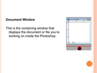 Document Window

This is the containing window that
  displays the document or file you‘re
  working on inside the Photoshop.
 