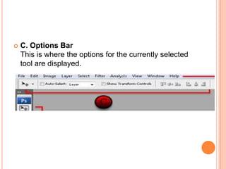    C. Options Bar
    This is where the options for the currently selected
    tool are displayed.
 