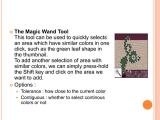  The Magic Wand Tool
  This tool can be used to quickly selects
  an area which have similar colors in one
  click, such as the green leaf shape in
  the thumbnail.
  To add another selection of area with
  similar colors, we can simply press-hold
  the Shift key and click on the area we
  want to add.
 Options :
     Tolerance : how close to the current color
     Contiguous : whether to select continous
      colors or not
 