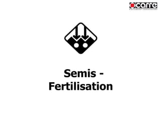Semis - Fertilisation 