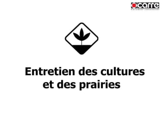Entretien des cultures et des prairies 
