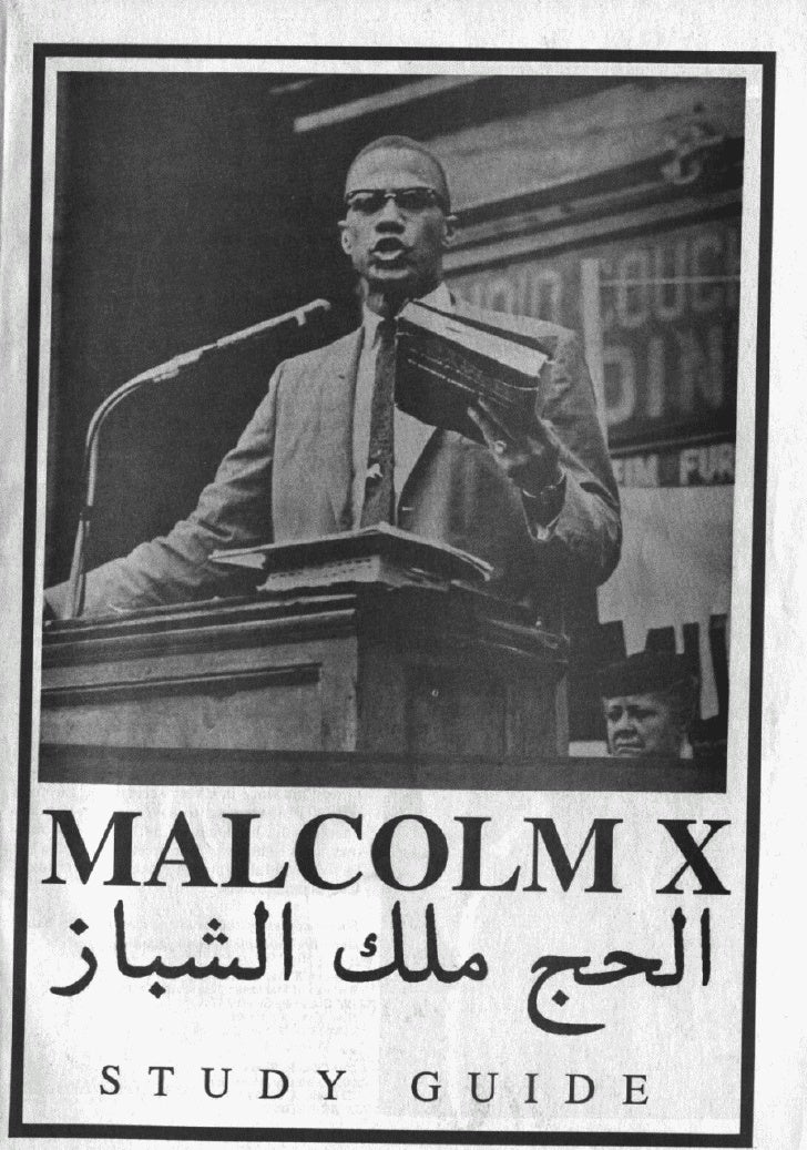 Malcolm X Study GuideOriginal Print Edition, by Dr. Abdul Alkalimat