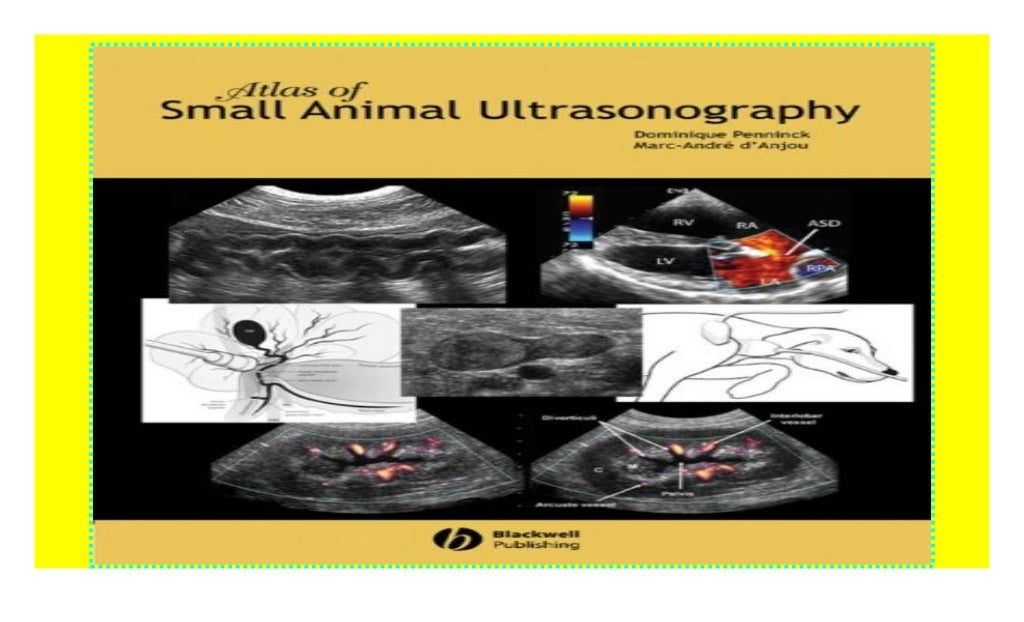 Atlas of Small Animal Ultrasonography hardcover