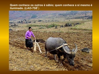 Quem conhece os outros é sábio; quem conhece a si mesmo é iluminado. ( LAO-TSÉ  )  