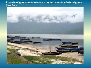 Reaja inteligentemente mesmo a um tratamento não inteligente.  ( Lao-Tsé  )   