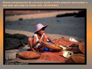 Nossa compreensão do universo ainda é muito pequena para julgar o que quer que seja na nossa vida. (Aristóteles) 