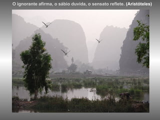 O ignorante afirma, o sábio duvida, o sensato reflete.  (Aristóteles) 
