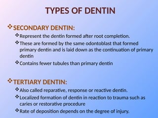 Dentinogenesis and their functional characterization.pptx