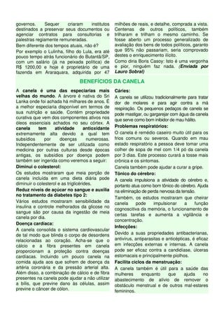 governos.      Sequer    criaram    institutos      milhões de reais, e detalhe, comprada a vista.
destinados a preservar seus documentos ou           Centenas de outros políticos, também
agenciar contratos para consultorias e              trilharam e trilham o mesmo caminho. Se
palestras regiamente remuneradas.                   fosse aberto um processo generalizado de
Bem diferente dos tempos atuais, não é?             avaliação dos bens de todos políticos, garanto
Por exemplo o Lulinha, filho do Lula, era até       que 95% não passariam, seria comprovado
pouco tempo atrás funcionário do Butantã/SP,        destes o enriquecimento ilícito.
com um salário (já na peixada política) de          Como diria Boris Casoy: Isto é uma vergonha
R$ 1200,00 e hoje é proprietário de uma             e pior, ninguém faz nada. (Enviada por
fazenda em Araraquara, adquirida por 47             Lauro Sobral)

                                 BENEFÍCIOS DA CANELA
A canela é uma das especiarias mais                 Cáries:
velhas do mundo. A árvore é nativa do Sri           A canela se utilizou tradicionalmente para tratar
Lanka onde foi achada há milhares de anos. É        dor de molares e para agir contra a má
a melhor especiaria disponível em termos de         respiração. Os pequenos pedaços de canela se
sua nutrição e saúde. Contém propriedade            pode mastigar, ou gargarejar com água da canela
curativa que vem dos componentes ativos nos         que serve como bom inibidor de mau hálito.
óleos essenciais achados no seu córtex. A
canela      tem     atividade        antioxidante   Problemas respiratórios:
extremamente alta devido a qual tem                 O canela é remédio caseiro muito útil para os
subsídios      por     doenças        numerosas.    frios comuns ou severos. Quando em mau
Independentemente de ser utilizada como             estado respiratório a pessoa deve tomar uma
medicina por outras culturas desde épocas           colher de sopa de mel com 1/4 pó da canela
antigas, os subsídios por doença podem              por 3 dias. Este processo curará a tosse mais
também ser ingerida como veremos a seguir:          crônica e os sintomas.
Diminui o colesterol:                               Canela também pode ajudar a curar a gripe.
Os estudos mostraram que meia porção de             Tônico do cérebro:
canela incluída em uma dieta diária pode            A canela impulsiona a atividade do cérebro e,
diminuir o colesterol e as triglicérides.           portanto atua como bom tônico do cérebro. Ajuda
Reduz níveis de açúcar no sangue e auxilia          na eliminação de perda nervosa da tensão.
no tratamento da diabetes tipo 2:
                                                    Também, os estudos mostraram que cheirar
Vários estudos mostraram sensibilidade da           canela      pode    impulsionar      a    função
insulina e controle melhorados da glicose no
                                                    cognoscitiva da memória, o funcionamento de
sangue são por causa da ingestão de meia
                                                    certas tarefas e aumenta a vigilância e
canela por dia.
                                                    concentração.
Doença cardíaca:
                                                    Infecções:
A canela consolida o sistema cardiovascular
de tal modo que blinda o corpo de desordens         Devido a suas propriedades antibacterianas,
relacionadas ao coração. Acha-se que o              antivírus, antiparasitas e anticépticas, é eficaz
cálcio e a fibra presentes em canela                em infecções externas e internas. A canela
proporcionam a proteção contra doenças              pode ser eficaz contra a candidíase, úlceras
cardíacas. Incluindo um pouco canela na             estomacais e principalmente piolhos.
comida ajuda aos que sofrem de doença da            Facilita ciclos da menstruação:
artéria coronária e da pressão arterial alta.       A canela também é útil para a saúde das
Além disso, a combinação de cálcio e de fibra       mulheres       enquanto      que     ajuda     no
presentes na canela pode ajudar a não utilizar      abastecimento de alívio de remover o
a bílis, que previne dano às células, assim         obstáculo menstrual e de outros mal-estares
previne o câncer de cólon.                          femininos.
 
