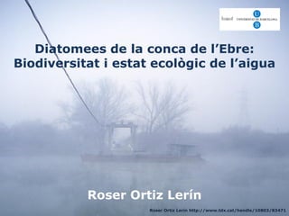 Diatomees de la conca de l’Ebre:
Biodiversitat i estat ecològic de l’aigua
Roser Ortiz Lerín
Roser Ortiz Lerín http://www.tdx.cat/handle/10803/83471
 