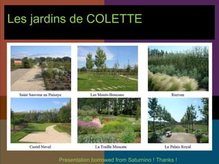 Les jardins de COLETTE   Presentation borrowed from Saturnino ! Thanks !  