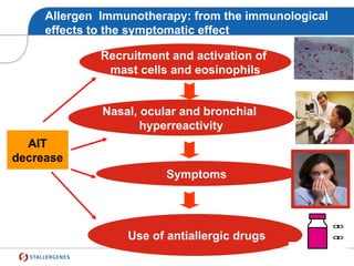 Allergen Immunotherapy: from the immunological
effects to the symptomatic effect
Symptoms
Use of antiallergic drugs
Nasal, ocular and bronchial
hyperreactivity
Recruitment and activation of
mast cells and eosinophils
AIT
decrease
 