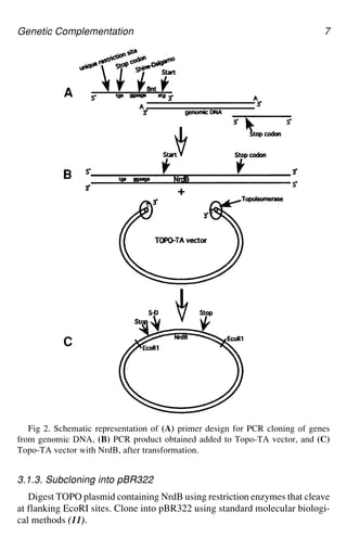 Directed Enzyme Evolution Screening and Selection Methods 1st Edition ...