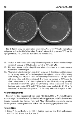 Directed Enzyme Evolution Screening and Selection Methods 1st Edition ...