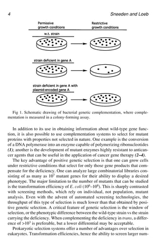 Directed Enzyme Evolution Screening and Selection Methods 1st Edition ...
