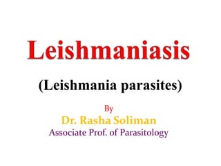 (Leishmania parasites)
By
Dr. Rasha Soliman
Associate Prof. of Parasitology
 