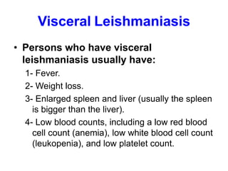 Visceral Leishmaniasis
• Persons who have visceral
leishmaniasis usually have:
1- Fever.
2- Weight loss.
3- Enlarged spleen and liver (usually the spleen
is bigger than the liver).
4- Low blood counts, including a low red blood
cell count (anemia), low white blood cell count
(leukopenia), and low platelet count.
 