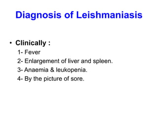 Diagnosis of Leishmaniasis
• Clinically :
1- Fever
2- Enlargement of liver and spleen.
3- Anaemia & leukopenia.
4- By the picture of sore.
 