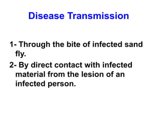 Disease Transmission
1- Through the bite of infected sand
fly.
2- By direct contact with infected
material from the lesion of an
infected person.
 