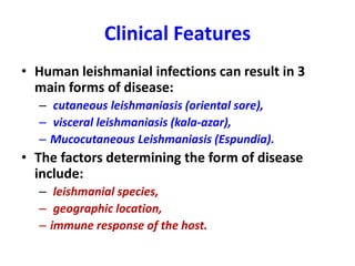 Clinical Features
• Human leishmanial infections can result in 3
main forms of disease:
– cutaneous leishmaniasis (oriental sore),
– visceral leishmaniasis (kala-azar),
– Mucocutaneous Leishmaniasis (Espundia).
• The factors determining the form of disease
include:
– leishmanial species,
– geographic location,
– immune response of the host.
 