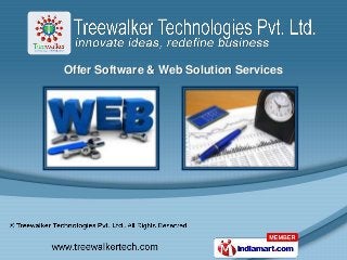 Offer Software & Web Solution Services
 