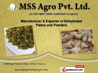 Manufacturer & Exporter of Dehydrated
        Flakes and Powders
 