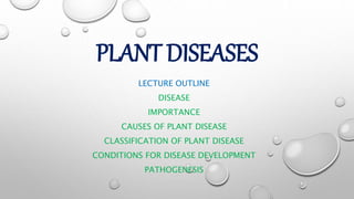 PLANT DISEASES
LECTURE OUTLINE
DISEASE
IMPORTANCE
CAUSES OF PLANT DISEASE
CLASSIFICATION OF PLANT DISEASE
CONDITIONS FOR DISEASE DEVELOPMENT
PATHOGENESIS
 