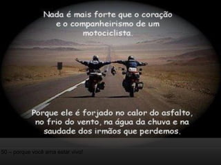 50 – porque você ama estar vivo! 