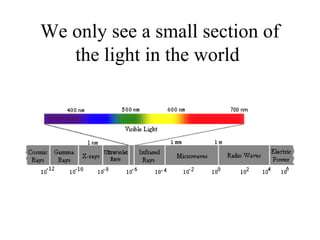 We only see a small section of
the light in the world
 