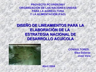 PROYECTO PCT/PER/3001
ORGANIZACIÓN DE LAS NACIONES UNIDAS
PARA LA AGRICULTURA
Y LA ALIMENTACIÓN (FAO)
DISEÑO DE LINEAMIENTOS PARA LADISEÑO DE LINEAMIENTOS PARA LA
ELABORACIÓN DE LAELABORACIÓN DE LA
ESTRATEGIA NACIONAL DEESTRATEGIA NACIONAL DE
DESARROLLO ACUÍCOLADESARROLLO ACUÍCOLA
CONSULTORES:
Elsa Galarza
José Vera
Abril 2004
 