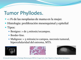 patologia-benigna-de-la-mama-ppt