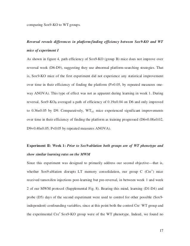 Scheinbach Lior Thesis