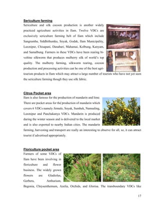 Sericulture farming
Sericulture and silk cocoon production is another widely
practiced agriculture activities in Ilam. Twelve VDCs are
exclusively sericulture farming belt of Ilam which include
Sangrumba, Siddhithumka, Soyak, Godak, Ilam Municipality,
Laxmipur, Chisapani, Danabari, Mahamai, Kolbung, Kanyam,
and Samalbung. Farmers in these VDCs have been rearing bi-
voltine silkworm that produces mulberry silk of world’s top
quality. The mulberry farming, silkworm rearing, cocoon
production and processing activities can be one of the best agri-
tourism products in Ilam which may attract a large number of tourists who have not yet seen
the sericulture farming though they use silk fabric.



Citrus Pocket area
Ilam is also famous for the production of mandarin and lime.
There are pocket areas for the production of mandarin which
covers 6 VDCs namely Jirmale, Soyak, Sumbek, Namsaling,
Laxmipur and Panchakanya VDCs. Mandarin is produced
during the winter season and is delivered to the local market
and is also exported to nearby Indian cities. The mandarin
farming, harvesting and transport are really an interesting to observe for all, so, it can attract
tourist if advertised appropriately.



Floriculture pocket area
Farmers of some VDCs of
Ilam have been involving in
floriculture         and      flower
business. The widely grown
flowers        are         Gladiolus,
Gerbera,               Anthurium,
Begonia, Chrysenthemum, Azelia, Orchids, and Glorisa. The transboundary VDCs like


                                                                                               17
 