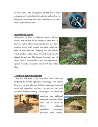 in these areas. The management of bee hives, honey
extracting activities in both the traditional and modern bee
keeping are interesting activities for tourists and can easily
attract tourist in these areas.




Agroforestry system
Agroforestry in Ilam is traditional practice for the
farmers, but it is new for the farmers of other areas. It
has been well developed since long. Farmers have been
growing several multi purpose tree species along the
bund of cultivated land. Normally the tree species
which produce fodder, fruit, firewood, food etc are
planted for own use. The farmers from other part of
Nepal come to Ilam to observe and learn agroforestry
system. It can be observed in almost all VDCs within
Ilam.



Traditional agriculture system
There are still some VDCs in western Ilam which are
unspoiled by modern agriculture technology. The farmers
have not yet used chemical fertilizer, pesticides, improved
seeds and agriculture appliances because of low level
awareness and inaccessibility to these inputs. The farmers are

                                  practicing true traditional
                                  system of agriculture. These
                                  areas can be visited to
                                  observe              traditional
                                  agriculture       technology,
                                  traditional   crop    varieties,


                                                                     19
 