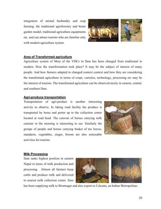 integration of animal husbandry and crop
farming, the traditional agroforestry and home
garden model, traditional agriculture equipments
etc. and can attract tourists who are familiar only
with modern agriculture system.



Area of Transformed agriculture
Agriculture system of Most of the VDCs in Ilam has been changed from traditional to
modern. How the transformation took place? It may be the subject of interest of many
people. And how farmers adapted to changed context context and how they are considering
the transformed agriculture in terms of crops, varieties, technology, processing etc may be
the interest of tourists. The transformed agriculture can be observed nicely in eastern, central,
and southern Ilam.

Agri-produce transportation
Transportation of agri-product        is   another    interesting
activity to observe. In laking road facility the produce is
transported by horse and porter up to the collection center
located at road head. The caravan of horses carrying milk
canister in the morning is interesting to see. Similarly the
groups of people and horses carrying basket of tea leaves,
mandarin, vegetables, zinger, broom are also noticeable
activities for tourists.



Milk Processing
Ilam ranks highest position in eastern
Nepal in terms of milk production and
processing. Almost all farmers keep
cattle and produce milk and delivered
to nearest milk collection center. Ilam
has been supplying milk to Biratnagar and also export to Calcutta, an Indian Metropolitan.


                                                                                              20
 