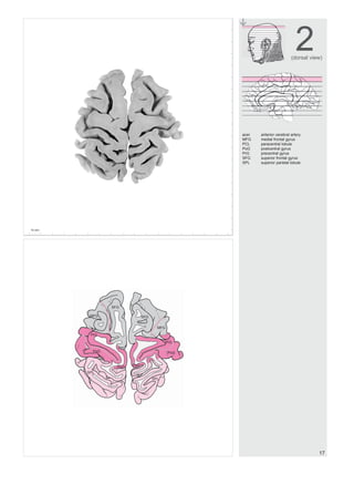 Atlas of the Human Brain 2nd Edition Jürgen K. Mai | PDF