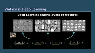 IBM Watson in the Cognitive Era | PPTX