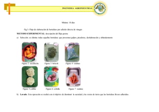 INGENIERIA AGROINDUSTRIAL
Fig.1- Flujo de elaboración de hortalizas por adición directa de vinagre
METODO EXPERIMENTAL: descripción del flujo grama
a) Selección. se elimina todas aquellas hortalizas que presentan golpes, picadoras, deshidratación y ablandamiento
b) Lavado. Esta operación se realizó con el objetivo de disminuir la suciedad y los restos de tierra que las hortalizas llevan adheridas.
Mínimo 10 días
Figura 2 escabeche Figura 3 brócoli Figura 4 vainitas
Figura 5 coliflor Figura 6 cebolla Figura 7 vainitas
 