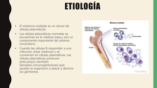 ETIOLOGÍA
• El mieloma múltiple es un cáncer de
células plasmáticas.
• Las células plasmáticas normales se
encuentran en la médula ósea y son un
componente importante del sistema
inmunitario
• Cuando las células B responden a una
infección, estas maduran y se
convierten en células plasmáticas. Las
células plasmáticas producen
anticuerpos (también
llamados inmunoglobulinas) que
ayudan al organismo a atacar y destruir
los gérmenes.
 