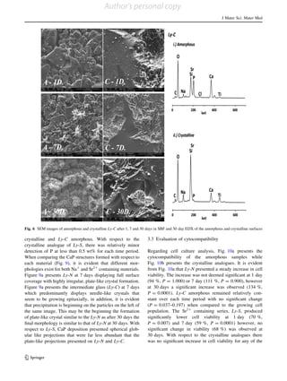 crystalline and Ly-C amorphous. With respect to the
crystalline analogue of Ly-S, there was relatively minor
detection of P at less than 0.5 wt% for each time period.
When comparing the CaP structures formed with respect to
each material (Fig. 9), it is evident that different mor-
phologies exist for both Na?
and Sr2?
containing materials.
Figure 9a presents Ly-N at 7 days displaying full surface
coverage with highly irregular, plate-like crystal formation.
Figure 9a presents the intermediate glass (Ly-C) at 7 days
which predominantly displays needle-like crystals that
seem to be growing epitaxially, in addition, it is evident
that precipitation is beginning on the particles on the left of
the same image. This may be the beginning the formation
of plate-like crystal similar to the Ly-N as after 30 days the
ﬁnal morphology is similar to that of Ly-N at 30 days. With
respect to Ly-S, CaP deposition presented spherical glob-
ular like projections that were far less abundant that the
plate-like projections presented on Ly-N and Ly-C.
3.3 Evaluation of cytocompatibility
Regarding cell culture analysis, Fig. 10a presents the
cytocompatibility of the amorphous samples while
Fig. 10b presents the crystalline analogues. It is evident
from Fig. 10a that Ly-N presented a steady increase in cell
viability. The increase was not deemed signiﬁcant at 1 day
(94 %, P = 1.000) or 7 day (111 %, P = 0.900), however
at 30 days a signiﬁcant increase was observed (134 %,
P = 0.0001). Ly-C amorphous remained relatively con-
stant over each time period with no signiﬁcant change
(P = 0.037–0.197) when compared to the growing cell
population. The Sr2?
containing series, Ly-S, produced
signiﬁcantly lower cell viability at 1 day (70 %,
P = 0.007) and 7 day (59 %, P = 0.0001) however, no
signiﬁcant change in viability (68 %) was observed at
30 days. With respect to the crystalline analogues there
was no signiﬁcant increase in cell viability for any of the
Fig. 6 SEM images of amorphous and crystalline Ly-C after 1, 7 and 30 days in SBF and 30 day EDX of the amorphous and crystalline surfaces
J Mater Sci: Mater Med
123
Author's personal copy
 