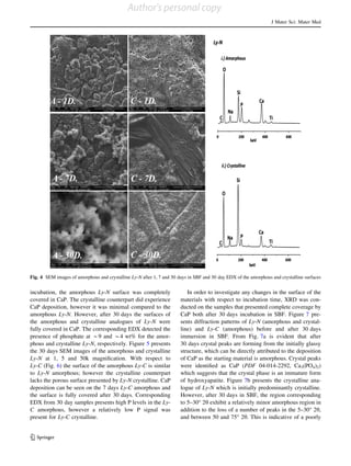 incubation, the amorphous Ly-N surface was completely
covered in CaP. The crystalline counterpart did experience
CaP deposition, however it was minimal compared to the
amorphous Ly-N. However, after 30 days the surfaces of
the amorphous and crystalline analogues of Ly-N were
fully covered in CaP. The corresponding EDX detected the
presence of phosphate at *9 and *4 wt% for the amor-
phous and crystalline Ly-N, respectively. Figure 5 presents
the 30 days SEM images of the amorphous and crystalline
Ly-N at 1, 5 and 50k magniﬁcation. With respect to
Ly-C (Fig. 6) the surface of the amorphous Ly-C is similar
to Ly-N amorphous; however the crystalline counterpart
lacks the porous surface presented by Ly-N crystalline. CaP
deposition can be seen on the 7 days Ly-C amorphous and
the surface is fully covered after 30 days. Corresponding
EDX from 30 day samples presents high P levels in the Ly-
C amorphous, however a relatively low P signal was
present for Ly-C crystalline.
In order to investigate any changes in the surface of the
materials with respect to incubation time, XRD was con-
ducted on the samples that presented complete coverage by
CaP both after 30 days incubation in SBF. Figure 7 pre-
sents diffraction patterns of Ly-N (amorphous and crystal-
line) and Ly-C (amorphous) before and after 30 days
immersion in SBF. From Fig. 7a is evident that after
30 days crystal peaks are forming from the initially glassy
structure, which can be directly attributed to the deposition
of CaP as the starting material is amorphous. Crystal peaks
were identiﬁed as CaP (PDF 04-014-2292, Ca3(PO4)2)
which suggests that the crystal phase is an immature form
of hydroxyapatite. Figure 7b presents the crystalline ana-
logue of Ly-N which is initially predominantly crystalline.
However, after 30 days in SBF, the region corresponding
to 5–30° 2h exhibit a relatively minor amorphous region in
addition to the loss of a number of peaks in the 5–30° 2h,
and between 50 and 75° 2h. This is indicative of a poorly
Fig. 4 SEM images of amorphous and crystalline Ly-N after 1, 7 and 30 days in SBF and 30 day EDX of the amorphous and crystalline surfaces
J Mater Sci: Mater Med
123
Author's personal copy
 