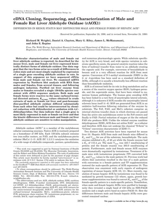 cDNA Cloning, Sequencing, and Characterization of Male and
Female Rat Liver Aldehyde Oxidase (rAOX1)
DIFFERENCES IN REDOX STATUS MAY DISTINGUISH MALE AND FEMALE FORMS OF HEPATIC AOX*
(Received for publication, September 24, 1998, and in revised form, November 24, 1998)
Richard M. Wright‡, Daniel A. Clayton, Mary G. Riley, James L. McManaman§,
and John E. Repine
From The Webb-Waring Antioxidant Research Institute and Department of Medicine, and §Department of Biochemistry,
Biophysics, and Genetics, The University of Colorado Health Sciences Center, Denver, Colorado 80262
Molecular characterization of male and female rat
liver aldehyde oxidase is reported. As described for the
mouse liver, male and female rat liver expressed kinet-
ically distinct forms of aldehyde oxidase. Our data sug-
gest that the two forms arise as a result of differences in
redox state and are most simply explained by expression
of a single gene encoding aldehyde oxidase in rats. In
support of this argument we have sequenced cDNAs
from male and female rat liver. We examined mRNA
expression by Northern blot analysis with RNA from
males and females, from several tissues, and following
androgen induction. Purified rat liver enzyme from
males or females revealed a single 150-kDa species con-
sistent with cDNA sequence analysis. Both male and
female forms were reactive to the same carboxyl-termi-
nal directed antisera. Km(app) values obtained in crude
extracts of male or female rat liver and post-benzami-
dine-purified aldehyde oxidase differed substantially
from each other but could be interconverted by chemi-
cal reduction with dithiothreitol or oxidation with 4,4؅-
dithiodipyridine. Our data indicate that a single gene is
most likely expressed in male or female rat liver and that
the kinetic differences between male and female rat liver
aldehyde oxidases are sensitive to redox manipulation.
Aldehyde oxidase (AOX)1
is a member of the molybdenum
cofactor containing enzymes. Native AOX is routinely prepared
as a homodimer of 300 kDa. Each 150-kDa subunit contains
two iron-sulfur centers, an FAD, and the molybdenum-pterin
cofactor (MoCo) (1–3). AOX (EC 1.2.3.1) catalyzes the oxidation
of a wide range of aldehydic compounds, purines, quinoliniums,
and numerous pharmacologic agents. While substrate specific-
ity for AOX is very broad, and wide species variation in sub-
strate specificity exists, the general catalytic reaction takes the
form of hydroxyl transfer from water to an aldehyde creating
the cognate acid. For example, conversion of benzaldehyde to
benzoic acid is a very efficient reaction for AOX from most
species. Conversion of N-1-methyl nicotinamide (NMN) to the
2- or -4-pyridone has been used as a standard definition of
AOXs, although it is usually a kinetically less efficient reaction
than benzaldehyde oxidation.
AOX is of interest both for its role in drug metabolism and as
a source of the reactive oxygen species (ROS), hydrogen perox-
ide, and the superoxide anion, that have been related to nu-
merous human pathologies. The human gene encoding AOX
has been linked to a rare form of amyotrophic lateral sclerosis,
although it is unknown if AOX encodes the amyotrophic lateral
sclerosis locus itself (4–6). ROS are generated from AOX in an
oxidative half-reaction following reduction of the enzyme by
substrate. The FeS, FAD, and MoCo cofactors comprise an
internal electron transfer chain in which electrons are passed
from the active site molybdenum center to the FeS centers and
finally to FAD. Partial reduction of oxygen at the the reduced
FAD site produces ROS. Unlike the related enzyme xanthine
dehydrogenase (XDH), AOX does not utilize NADϩ
as a cofactor
and therefore AOX does not undergo the classical “D-form” to
“O-form” conversion characteristic of XDH (7).
Two distinct AOX activities have been reported for mouse
liver (8). Hepatic AOX from male and female mice differed in
Km and Vmax for use of the substrate, benzaldehyde. The male
enzyme exhibited a Km of 40 ␮M while the female enzyme had
a Km of 115.4 ␮M. The male Vmax was 423.7 nmol/min/mg of
protein and the female enzyme was 203.0 nmol/min/mg of
protein. Furthermore, male and female mouse AOX enzymes
were dramatically regulated by testosterone. Treatment of fe-
male mice with testosterone proprionate (TP) converted both
Km and Vmax values to the male pattern (8). Previous work had
shown that castration resulted in the loss of a male pattern
with conversion to a female pattern and TP supplementation
restored the male-specific pattern of AOX expression (9). This
observation was consistent with early reports of androgenic
regulation of mouse hepatic AOX (10, 11). More recently, reg-
ulation of mouse hepatic AOX by testosterone was found to be
mediated by growth hormone (12) where, again, growth hor-
mone supplementation was found to convert Km and Vmax of the
female-specific pattern to a male-specific pattern. Nonetheless,
when male and female hepatic AOXs were purified to homoge-
neity they revealed a single band of 150 kDa on SDS-PAGE
analysis and a single active band on native PAGE (8). How the
differences between male and female hepatic AOXs were gen-
erated remained unclear.
* This work was supported in part by National Institutes of Health
Grants HL52509 and HL45582, The Muscular Dystrophy Association,
and the Robert and Helen Kleberg Foundation. The costs of publication
of this article were defrayed in part by the payment of page charges.
This article must therefore be hereby marked “advertisement” in ac-
cordance with 18 U.S.C. Section 1734 solely to indicate this fact.
The nucleotide sequence(s) reported in this paper has been submitted
to the GenBankTM
/EBI Data Bank with accession number(s) AF110477
and AF110478.
‡ To whom correspondence should be addressed. The Webb-Waring
Antioxidant Research Institute and The University of Colorado Health
Sciences Center, Dept. of Medicine, 4200 East 9th Ave., Denver, CO
80262. Tel.: 303-315-4593; Fax: 303-315-3776; E-mail: richard.m.
wright@uchsc.edu.
1
The abbreviations used are: AOX, aldehyde oxidase; XDH, xanthine
dehydrogenase; NMN, N-methyl nicotinamide; DTT, dithiothreitol;
4,4Ј-DTDP, 4,4Ј-dithiodipyridine; PAGE, polyacrylamide gel electro-
phoresis; ROS, reactive oxygen species; AOX-NT, anti-AOX antisera for
the amino-terminal decapeptide; AOX-CT, anti-AOX antisera for the
carboxyl-terminal decapeptide; MoCo, molybdenum-pterin cofactor;
PCR, polymerase chain reaction; TP, testosterone proprionate; nt, nu-
cleotide; RACE, rapid amplification of cDNA.
THE JOURNAL OF BIOLOGICAL CHEMISTRY Vol. 274, No. 6, Issue of February 5, pp. 3878–3886, 1999
© 1999 by The American Society for Biochemistry and Molecular Biology, Inc. Printed in U.S.A.
This paper is available on line at http://www.jbc.org3878
byguestonFebruary1,2015http://www.jbc.org/Downloadedfrom
 