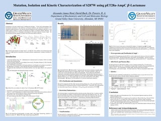 Mutation, Isolation and Kinetic Characterization of S287W using pET28a-AmpC 𝜷-Lactamase
Abstract
𝛽-lactamase is the most common type of antibacterial resistance. A more clear understanding of the
biochemical mechanisms in the hydrolysis of 𝛽-lactam antibiotics can benefit the treatment of 𝛽-
lactamase producing bacteria. By using site directed mutagenesis and recombinant expression, we can
change specific residues in a protein to determine the impact on substrate catalytic efficiency. We
have mutated Serine 287 to Tryptophan and compared to the kinetic character of native AmpC. We
had determined that the mutation correlates with a decreased catalytic efficiency.
(A) (B)
Fig. 1: (A) Overall structure of AmpC from E. coli HKY28, with α-Helicies red, β-sheets green and
loops cyan.1 (B) Hydrolysis mechanism of β-lactam antibiotic cephalosporin, resulting in harmless bi-
products.3
Introduction
• A 𝛽-lactam antibiotic (Fig. 2 B – Cephalosporin) is characterized by a 𝛽-lactam, which is an amide
within a four membered ring.
• The first 𝛽-lactam antibiotic was accidently discovered by Alexander Fleming in 1928, Penicillin,
from the fungi genus penicillium.2
• In the 1950’s however, the future of 𝛽-lactam antibiotics was thought to be coming to an end due to
the appearance of resistant S. aureus had been discovered in hospital environments.2
• Through side chain modification, the 𝛽-lactam antibiotic were once again effective, for a period of
time.2
• Today, the fight against anti-bacrterial resistance continues.
(A) (B)
Fig. 2: (A) Active site residues of a native Class C 𝛽-lactamase. (B) S287W mutant.
• 𝛽-lactamase is an enzyme which has an affinity for 𝛽-lactam antibiotics.
• Class A, C, and D 𝛽-lactamase use catalytic serine residues, which attack at the carbonyl carbon of
the 𝛽-lactam ring, with the difference being in substrate promiscuity and affinity.
• Class B uses a Zn2+ ion to hydrolyze a 𝛽-lactam ring.
• We want to determine the effect of residue 287 on the structure of AmpC.
(A) (B)
Fig. 3: (A) Sequencing chromatography of mutant AmpC using Sanger Sequencing, indicative of
mutation at residue 287. (B) pET28a-AmpC plasmid map using pDRAW.
Results
(A) (B)
(C)
(D)
Fig. 4: (A) SDS-PAGE, (B) Western Blot, T represents time intervals (in minutes) of samples taken
throughout the expression process of mutant AmpC protein. The lanes P (pooled), F (flow), W
(wash), and L (lysate) throughout the affinity chromatography. Western Blot from SDS-PAGE
transferred to nitrocellulose membrane blocked with dry lactate, and identified with primary anti-T7
tag. (C) Agarose Gel Electrophoresis standard curve molecular weight standard, showing log (#bp) vs
migration distance in cm. Some mutant AmpC was lost in the wash and flow of the affinity
chromatography. (D) Agarose Gel Electrophoresis of restriction endonuclease digestion.
• DNA Purification and Quantitation –
We had first isolated the pET28a-AmpC plasmid utilizing alkaline lysis. We used the Wizard® Plus
SV Minipreps DNA Purification System to isolate the plasmid DNA. Afterwards, DNA concentration
was determined using Nanovue, indicating a 1.86 𝐴260/𝐴280 and concentration of 0.0749
µg
µ 𝐿
.
• Restriction Endonuclease –
The restriction digest we performed used the restriction enzymes XbaI and NruI. In order to confirm
the correct plasmid was isolated, we had performed an agarose gel electrophoresis (Fig. 4 D). The
bands for the double digest on the gel electrophoresis aren’t ideal when comparing to the plasmid
map; the lowest band is very dim, and there is a band high up, indicating undigested plasmid.
Predicted # bp = 10
𝑀𝑖𝑔𝑟𝑎𝑡𝑖𝑜𝑛 𝐷𝑖𝑠𝑡𝑎𝑛𝑐𝑒−33.3
−6.916 = 10(
11.8−33.3
−6.916
)
= 1162
• Transformation –
We had used CaCl2-competent BL21(DE3) E. coli species expressing the T7 RNA Polymerase
system, the bacteria will uptake the plasmid DNA.
(A) (B)
Fig. 5: CENTAAssay on the activity of (A) S287W mutant (1:10 dilution) and (B) WT AmpC
uninhibited (red and green respectively) and inhibited (blue and violet respectively) with Cefataxime.
With the dilution factor taken into consideration, the mutant strain has about half the vmax of the native
strain when uninhibited.
• Overexpression and Purification of AmpC –
Isopropyl-β-D-Thiogalactopyranoside (IPTG) is used to inactivate the repressor of the lacZ operator,
allowing transcription. We had purified AmpC using affinity chromatography. We had set up the
column to have a Ni2+ ligand bind to the hexa-histidine tag, and dissociate from Ni2+ using imidazole.
• SDS-PAGE and Western Blot –
We had performed two SDS-PAGE samples, one for Coomassie staining (Fig. 4 A) and one for
Western Blot analysis (Fig. 4 B). The quantity of mutant AmpC increases as time proceeds after the
addition of IPTG. The concentration of mutant AmpC increases following the affinity
chromatography, in the pooled sample. The bands nearby the 37kDa are expectantly mutant AmpC.
• Kinetics –
We had performed cephalothin nitrothiobenzoic acid (CENTA) assays to assess the activity of our
mutant and native enzyme with and without Cefataxime inhibition.
kcat = 𝑣 𝑚𝑎𝑥 ÷ 𝐸𝑛𝑧𝑦𝑚𝑒 = 5.25 × 10−4 𝑀
𝑚𝑖𝑛
÷ 0.0110𝑀 = 0.0477𝑚𝑖𝑛−1
ki =
𝑘 𝑀×[𝑆𝑢𝑏𝑠𝑡𝑟𝑎𝑡𝑒]
𝑘 𝑀𝑎𝑝𝑝−𝑘 𝑀
=
8.18×10−2 𝑀×6.67×10−4 𝑀
3.48×10−1 𝑀−8.18×10−2 𝑀
= 206µ𝑀
Conclusion
• Based on the agarose gel electrophoresis (Fig. 4 D), the plasmid fragments match up with the
predicted fragment sizes.
• With the data collected from the agarose gel electrophoresis, Western Blot (Fig. 4 B) and CENTA
activity assay (Fig. 5), we suggest the evidence points to the expression AmpC β-lactamase.
• The approximate molecular weight is about 37kDa, the antibody from the Western Blot had bound
to the T7 tag, and the sample had activity in the CENTAAssay.
• Compared to native AmpC, the mutated S287W clearly has a diminished catalytic efficiency for the
substrate CENTA.
References and Acknowledgements
1. Yamaguchi, Yoshihiro, Genta Sato, Yuriko Yamagata, Yohei Doi, Jun-ichi Wachino, Yoshichika Arakawa, Koki Matsuda, and Hiromasa Kurosaki.
"Structure of AmpC β-lactamase (AmpCD) from an Escherichia Coli Clinical Isolate with a Tripeptide Deletion (Gly286-Ser287-Asp288) in the
H10 Helix." Acta Crystallographica Section F. International Union of Crystallography. Web. 16 Apr. 2015.
2. Demain, Arnold L., and Richard P. Elander. "The β-lactam Antibiotics: Past, Present, and Future." Antonie Van Leeuwenhoek 75.1-2 (1999): 5-19.
Print.
3. Chen, Yu, George Minasov, Tomer A. Roth, Fabio Prati, and Brian K. Shoichet. "The Deacylation Mechanism of AmpC β--Lactamase at Ultrahigh
Resolution." JACS 13 Oct. 2005: 2970-976. Print.
Alexander James Ward, David Buck, Dr. Powers, R. A.
Department of Biochemistry and Cell and Molecular Biology
Grand Valley State University, Allendale, MI 49401
0.00E+00
5.00E-06
1.00E-05
1.50E-05
2.00E-05
2.50E-05
0 0.2 0.4 0.6
V0(M/min)
[CENTA] (mM)
0
0.0001
0.0002
0.0003
0.0004
0.0005
0 0.1 0.2 0.3 0.4 0.5 0.6
V0(M/min)
[CENTA] (mM)
PCR+ PCR- MW XbaI NruI
Double
Digest
Gly
286
Trp
287
Asp
288
Table 1: Agarose Gel Electrophoresis Fragments
Type #bp log (#bp) Migration Distance (cm) Predicted # bp
PCR+ ~1000 3.00 12.1 1162
XbaI 6419 3.81 7.04 6270
NruI 1293, 5781 3.11, 3.76 10.5, 7.98 1990, 4590
Double 3744, 1931, 744 3.57, 3.29, 2.87 13.6, 10.4, 8.43 3940, 2040, 710
T0 MWT15 T30 T45 T60 P F W L
37kDa
25kDa
50kDa
MW T0 T15 T30 T45 T60
P F W L
Table 2: Kinetic Parameters
Type kM (M) vmax (M/min) kcat (min-1) ki (µM)
Native AmpC 8.18 × 10−2
5.25 × 10−4
4.79 × 10−2
206
Native AmpC
Inhibited
3.48 × 10−1 4.52 × 10−4 4.11 × 10−2 N/A
S287W 1.44 × 10−2 2.55 × 10−4 6.97 × 10−3 34
S287W Inhibited 9.92 × 10−2
2.01 × 10−5 5.49 × 10−4
N/A
Ser64
Lys315
Lys67
Tyr150
Ser287
Trp287
Lys67
Ser64
Tyr150
Lys315
y = -6.916x + 33.3
5
6
7
8
9
10
11
12
13
14
15
2.5 2.6 2.7 2.8 2.9 3 3.1 3.2 3.3 3.4 3.5 3.6 3.7 3.8 3.9 4
log(#bp)
Relative Migration Distance (cm)
 