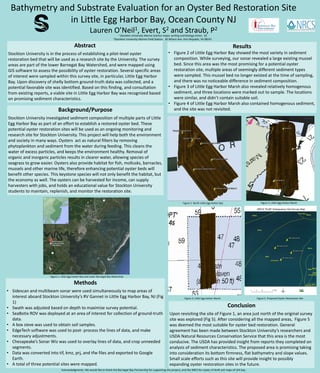 Bathymetry and Substrate Evaluation for an Oyster Bed Restoration Site
in Little Egg Harbor Bay, Ocean County NJ
Lauren O’Neil1, Evert, S2 and Straub, P2
Abstract
Stockton University is in the process of establishing a pilot-level oyster
restoration bed that will be used as a research site by the University. The survey
areas are part of the lower Barnegat Bay Watershed, and were mapped using
GIS software to assess the possibility of oyster restoration. Several specific areas
of interest were sampled within this survey site, in particular, Little Egg Harbor
Bay. Upon discovery of shelly bottom ground-truth data was collected, and a
potential favorable site was identified. Based on this finding, and consultation
from existing reports, a viable site in Little Egg Harbor Bay was recognized based
on promising sediment characteristics.
Background/Purpose
Stockton University investigated sediment composition of multiple parts of Little
Egg Harbor Bay as part of an effort to establish a restored oyster bed. These
potential oyster restoration sites will be used as an ongoing monitoring and
research site for Stockton University. This project will help both the environment
and society in many ways. Oysters act as natural filters by removing
phytoplankton and sediment from the water during feeding. This cleans the
water of excess particles, and keeps the environment healthy. Removal of
organic and inorganic particles results in clearer water, allowing species of
seagrass to grow easier. Oysters also provide habitat for fish, mollusks, barnacles,
mussels and other marine life, therefore enhancing potential oyster beds will
benefit other species. This keystone species will not only benefit the habitat, but
the economy as well. The oysters can be harvested for income, can supply
harvesters with jobs, and holds an educational value for Stockton University
students to maintain, replenish, and monitor the restoration site.
Methods
• Sidescan and multibeam sonar were used simultaneously to map areas of
interest aboard Stockton University’s RV Gannet in Little Egg Harbor Bay, NJ (Fig
1)
• Swath was adjusted based on depth to maximize survey potential.
• SeaBotix ROV was deployed at an area of interest for collection of ground-truth
data.
• A box sieve was used to obtain soil samples.
• EdgeTech software was used to post- process the lines of data, and make
necessary adjustments.
• Chesapeake’s Sonar Wiz was used to overlay lines of data, and crop unneeded
segments.
• Data was converted into tif, kmz, prj, and tfw files and exported to Google
Earth.
• A total of three potential sites were mapped.
Results
• Figure 2 of Little Egg Harbor Bay showed the most variety in sediment
composition. While surveying, our sonar revealed a large existing mussel
bed. Since this area was the most promising for a potential oyster
restoration site, multiple areas of seemingly different sediment types
were sampled. This mussel bed no longer existed at the time of sampling,
and there was no noticeable difference in sediment composition.
• Figure 3 of Little Egg Harbor Marsh also revealed relatively homogenous
sediment, and three locations were marked out to sample. The locations
were similar, and didn’t contain suitable soil.
• Figure 4 of Little Egg Harbor Marsh also contained homogenous sediment,
and the site was not revisited.
Conclusion
Upon revisiting the site of Figure 1, an area just north of the original survey
site was explored (Fig 5). After considering all the mapped areas, Figure 5
was deemed the most suitable for oyster bed restoration. General
agreement has been made between Stockton University’s researchers and
USDA Natural Resources Conservation Service that this area is the most
conducive. The USDA has provided insight from reports they completed on
analysis of sediment characteristics. The proposed area is promising taking
into consideration its bottom firmness, flat bathymetry and slope values.
Small scale efforts such as this site will provide insight to possibly
expanding oyster restoration sites in the future.
Figure 2. North Little Egg Harbor Bay Figure 3. Little Egg Harbor Marsh
Figure 4. Little Egg Harbor Marsh Figure 5. Proposed Oyster Restoration Site
Figure 1. Little Egg Harbor Bay and Lower Barnegat Bay Watershed
1 Stockton University Marine Science major, writing and biology minor, ‘16
2Stockton University Marine Field Station. 30 Wilson Ave. Port Republic, NJ 08241
Acknowledgments: We would like to thank the Barnegat Bay Partnership for supporting this project, and the NRCS for copies of draft soil maps of LEH bay
 