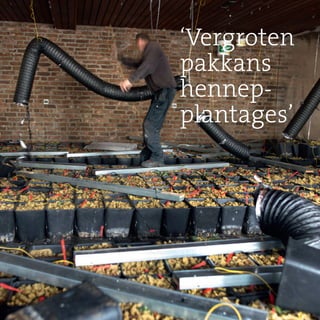 25Jaarverslag 2015
‘Vergroten
pakkans
hennep-
plantages’
 