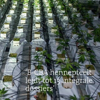 41Jaarverslag 2015
‘B-CBA hennepteelt
leidt tot 13 integrale
dossiers’
 