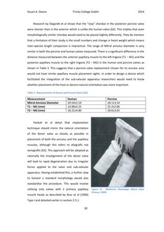 Stuart A. Deane Trinity College Dublin 2014
30
Research by Degandt et al shows that the “stay” chordae in the posterior porcine valve
were shorter than in the anterior which is unlike the human valve [62]. This implies that even
morphologically similar chordae would need to be placed slightly differently. They do mention
that a limitation of their study is the small numbers and change in heart weight which means
inter-species length comparison is impractical. The range of Mitral annulus diameter is very
similar in both the porcine and human valves measured. There is a significant difference in the
distance measured between the anterior papillary muscle to the left trigone (T1 – M1) and the
posterior papillary muscle to the right trigone (T2 – M2) in the human and porcine valves as
shown in Table 3. This suggests that a porcine valve replacement chosen for its annular area
would not have similar papillary muscle placement sights. In order to design a device which
facilitated the integration of the sub-valvular apparatus researchers would need to know
whether placement of the host or donors natural orientation was more important.
Table 3 - Measurements of Human and Porcine Hearts [62]
Measurement Human Porcine
Mitral Annulus Diameter 29.54±2.54 28.1±3.54
T1 – M1 (mm) 14.98±4.25 25.2±2.06
T2 – M2 (mm) 18.21±4.80 28.6±3.05
Yankah et al detail that implantation
technique should mimic the natural orientation
of the donor valve as closely as possible in
placement of both the annulus and the papillary
muscles, although this refers to allografts not
xenografts [63]. This approach will be adopted as
rationally the misalignment of the donor valve
will lead to rapid degeneration due to irregular
forces applied to the valve and sub-valvular
apparatus. Having established this, a further step
to harvest a standard morphology would also
standardise the procedure. This would involve
utilising only valves with 2 primary papillary
muscle heads as described by Acar et al (1996)
Type I and detailed earlier in section 2.5.1.
Figure 22 - Medtronic Physiologic Mitral Valve
(Franco, 1999)
 